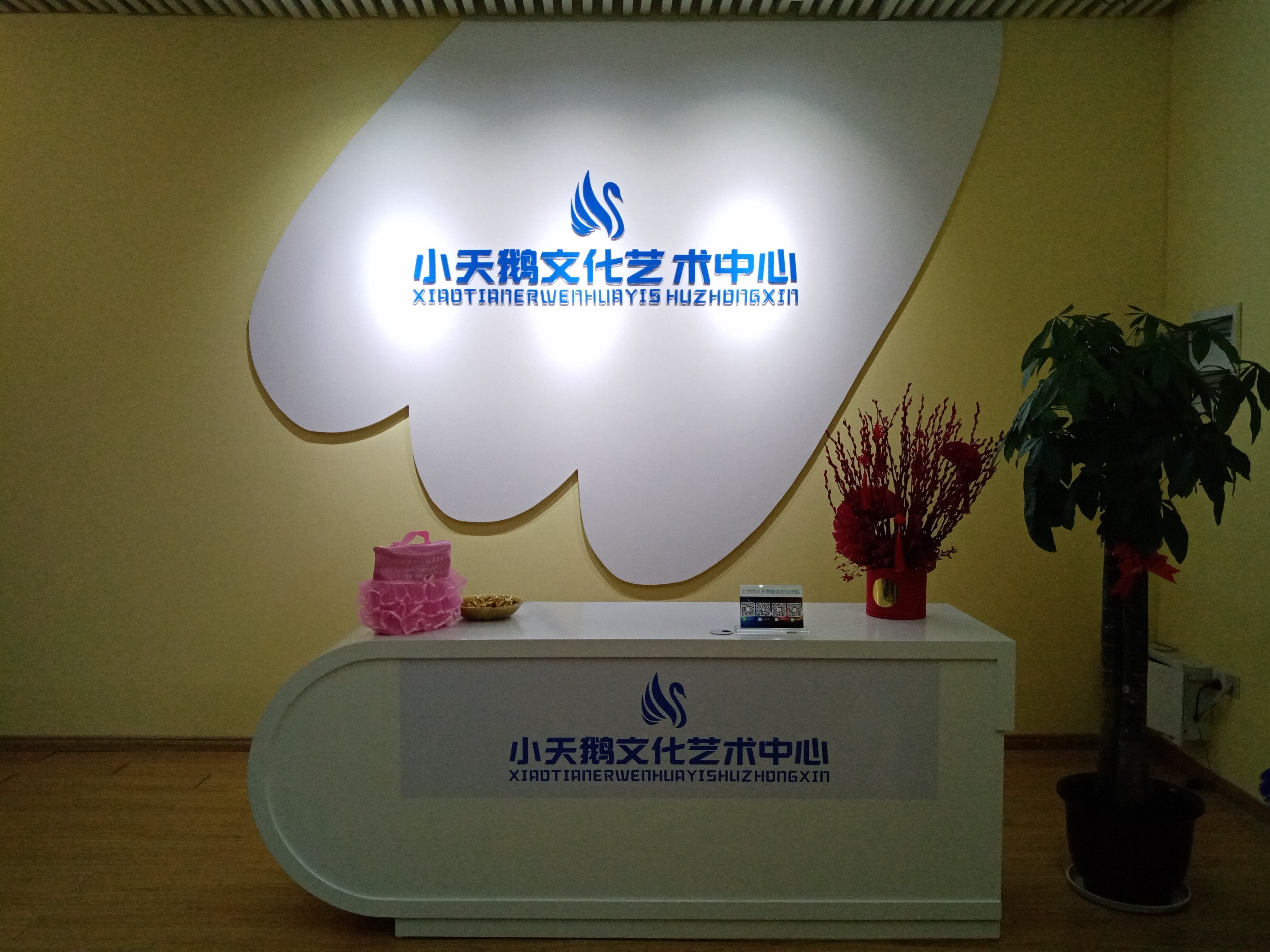 北京舞蹈学院芭蕾舞2级考级视频,北京舞蹈学院芭蕾舞考级二级全部