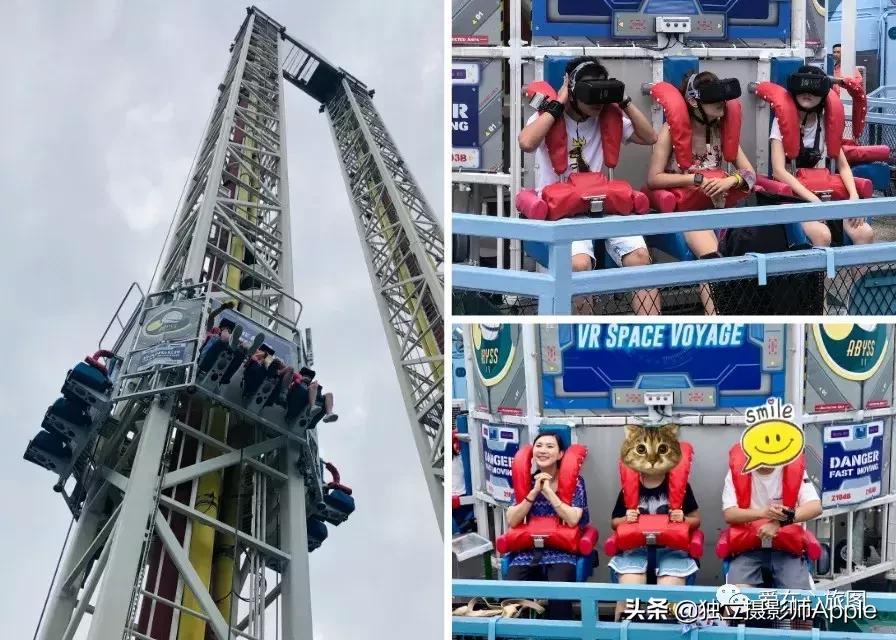 香港海洋公园自由行游玩攻略,香港旅游攻略香港海洋公园