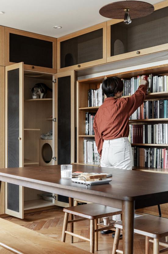 年轻人一人一猫的独居生活,一屋一人一猫的生活视频