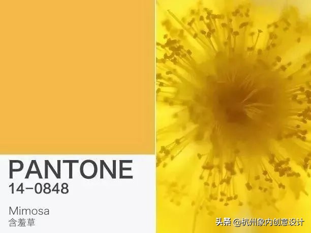 pantone2023流行色对冲色,2024pantone流行色色号
