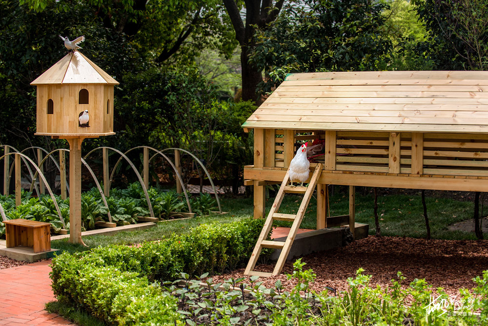 上海国际花展一览表,上海国际花展一览