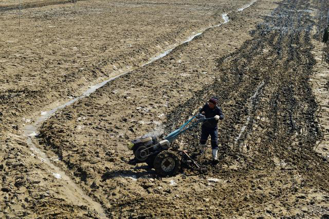 养蟹20年的老蟹农总结的经验,如何让江苏螃蟹养得好也卖得好