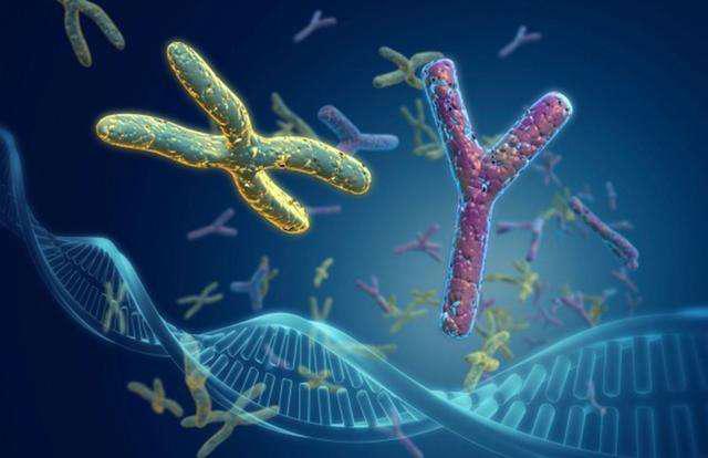 切除子宫后的女人还有男人要吗,切除子宫的女人还能怀孕吗