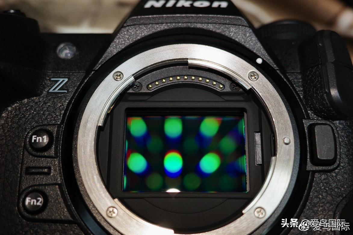 尼康z9有希望更新人像模式吗,尼康z9为什么适合打鸟