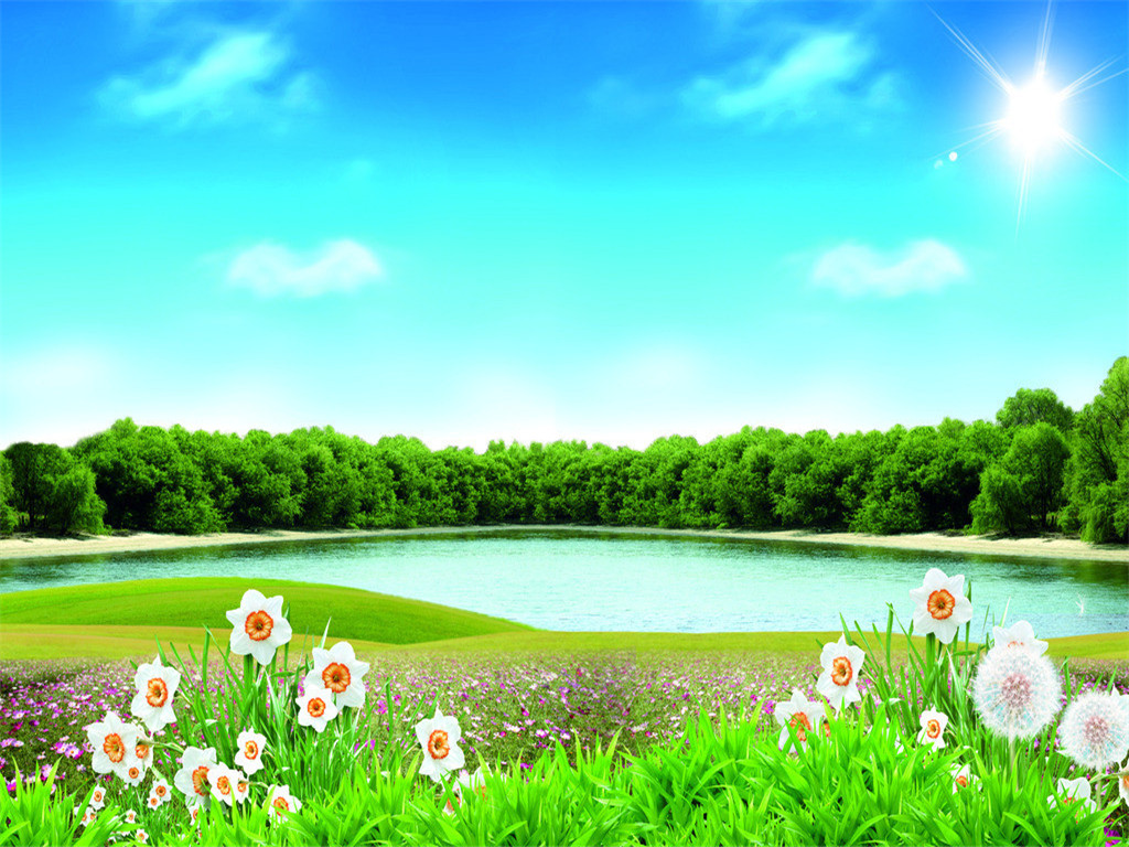 最美的护眼桌面壁纸,超清晰2340x1080曲面屏护眼壁纸