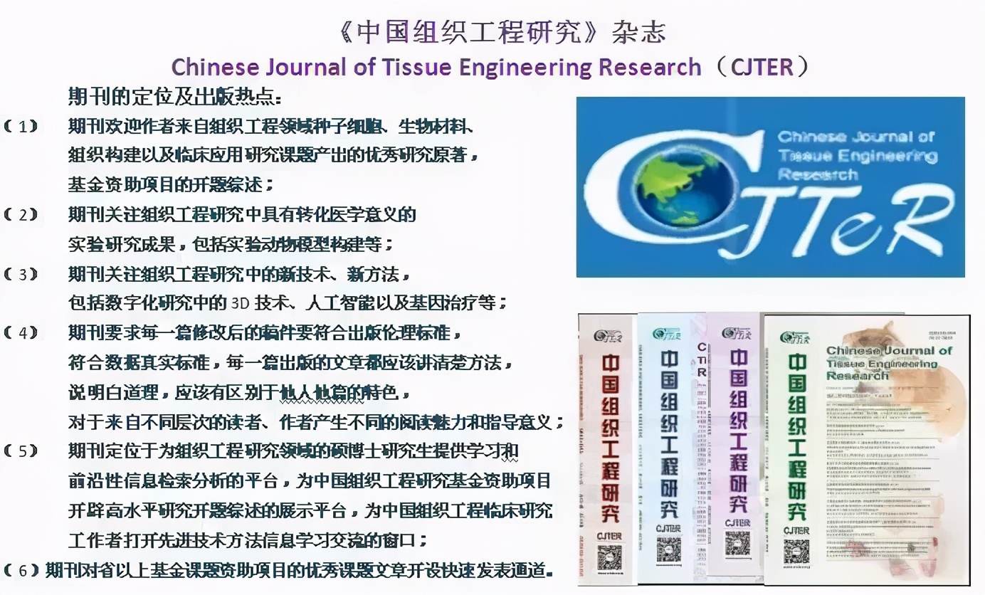 CJTER目次|2021年第17期关于策划构建研究