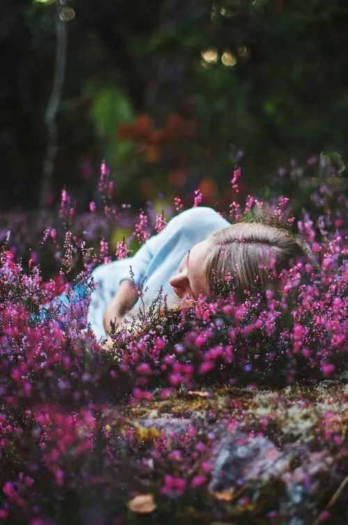 开花店必须要知道的花艺知识科普,开花店花艺师都需要掌握什么技术