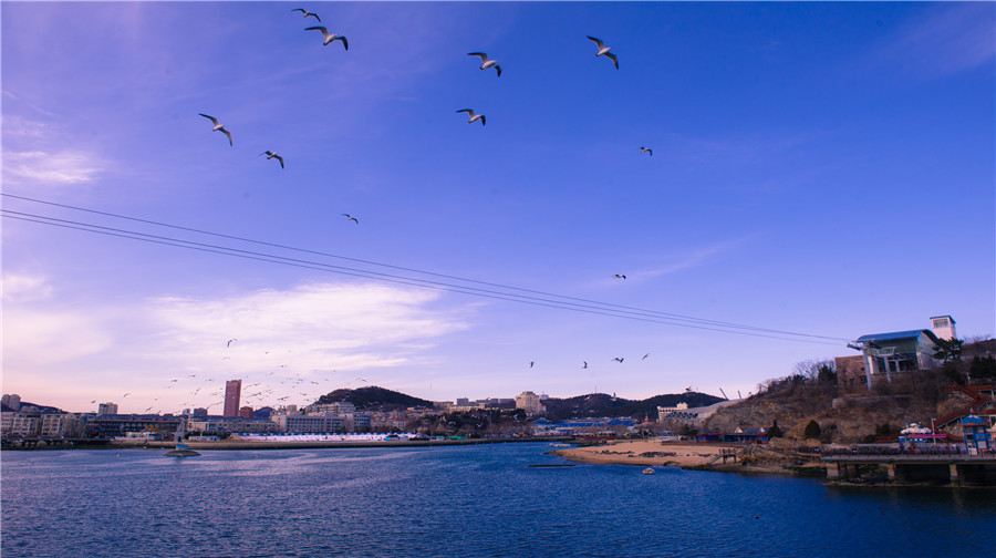 辽宁大连推荐旅游景点,辽宁大连旅游必去景点