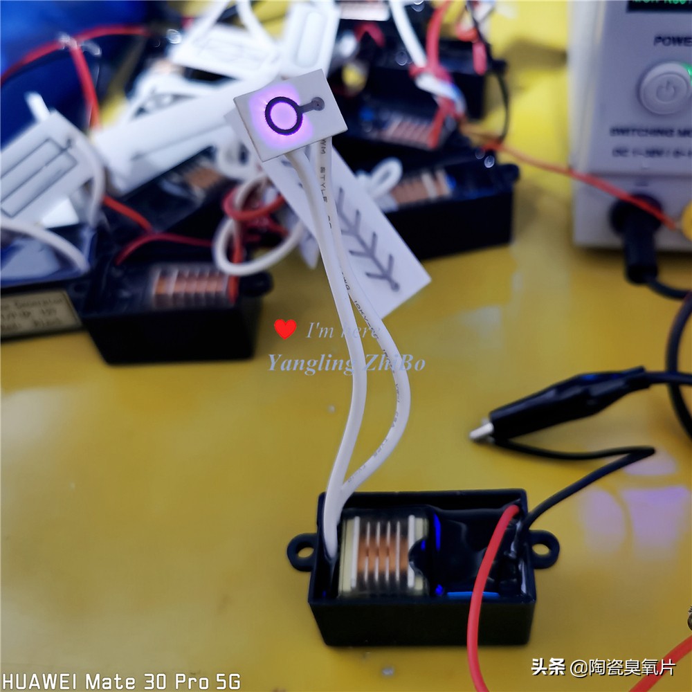 臭氧发生片的结构图,臭氧片臭氧发生器