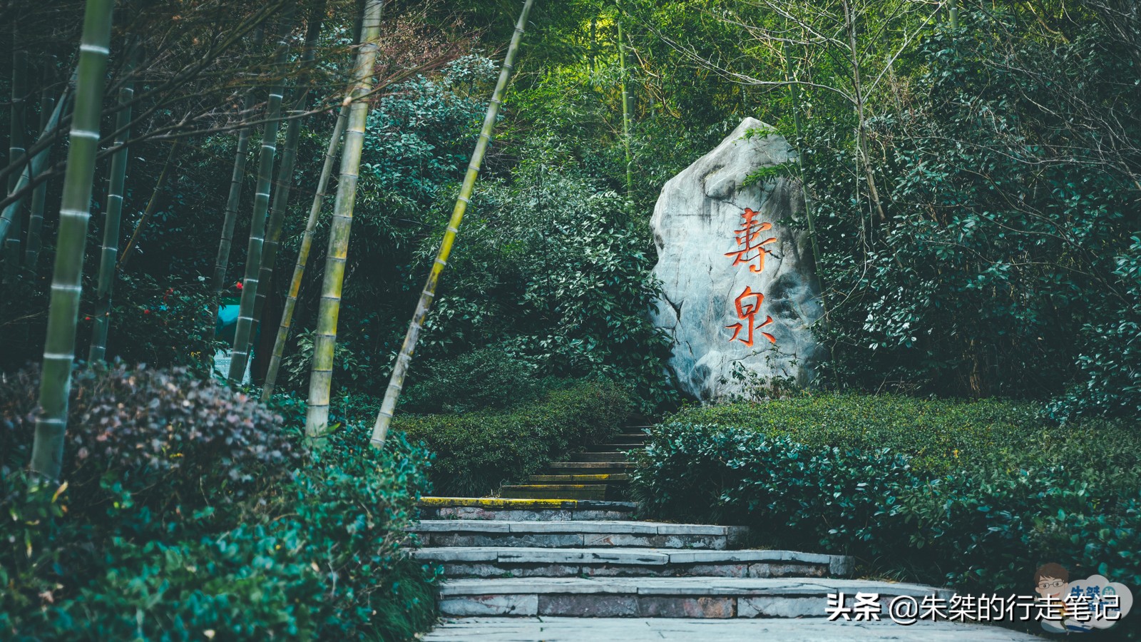 苏皖最美竹海景区,苏皖最美的竹海