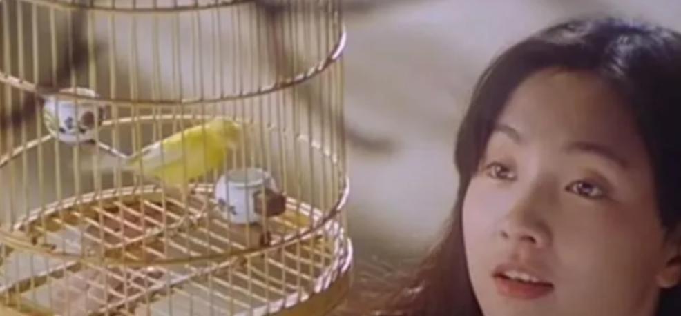 地下交通站演员现实生活,地下交通站演员列表大全