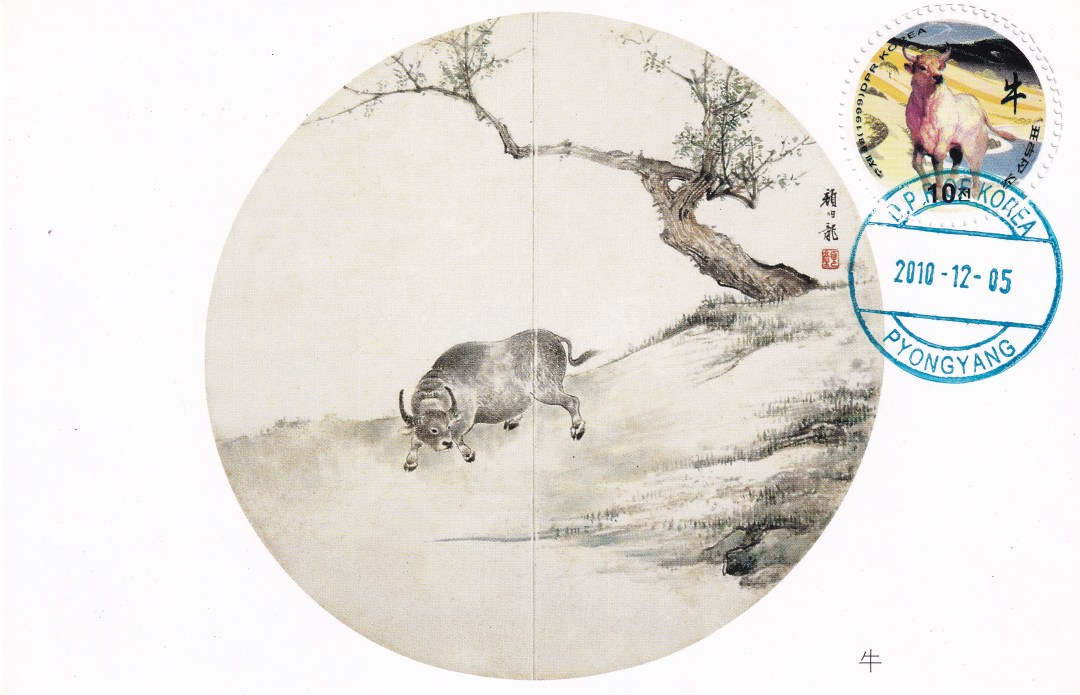 生肖牛视频大全,生肖牛第一期视频