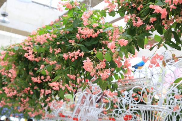 森林花海亲子游攻略,森林公园亲子游推荐