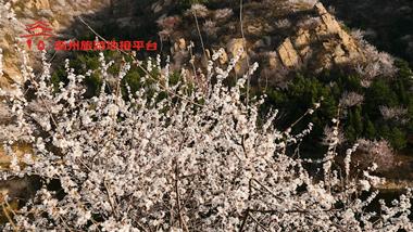 蓟州五盆沟风景区,蓟州翠屏湖美景