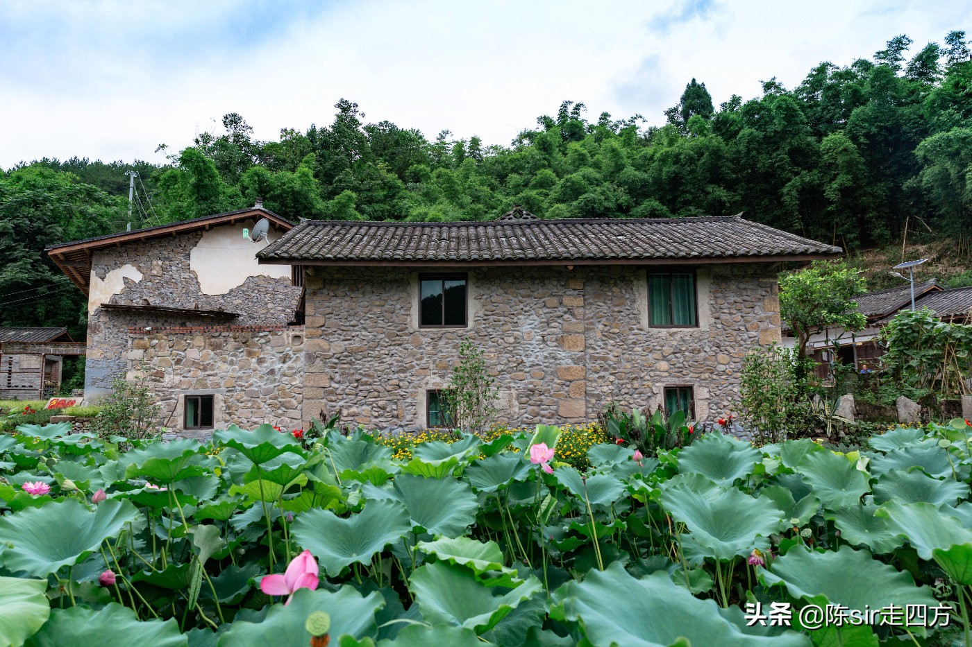 重庆夏天最好的避暑胜地有哪些,重庆周边可以钓鱼避暑的农家乐
