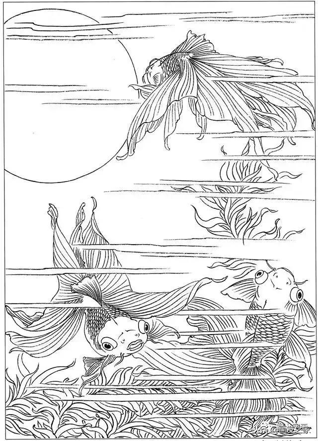 白描荷花鱼线稿图片,白描动物鱼图片大全