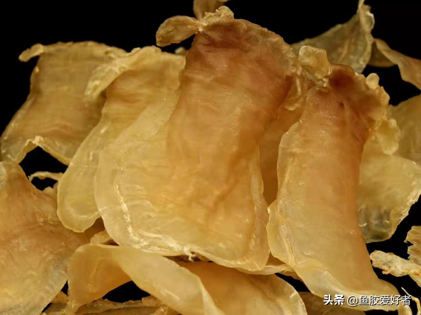 赤嘴鳘鱼胶为什么薄薄的,饶平赤嘴鳘鱼胶是鱼胶中较差的吗