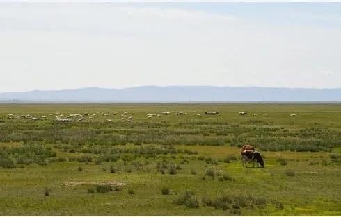 早安营口|2020年6月29日