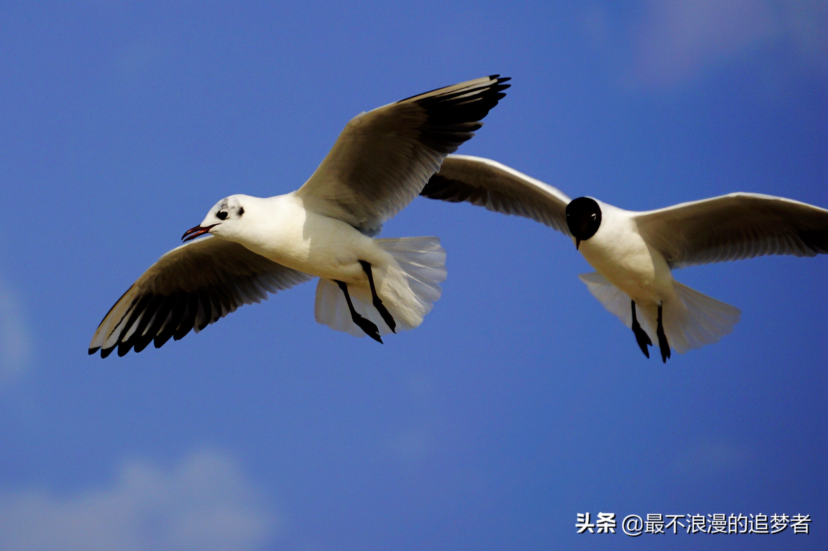 阿联酋迪拜的旅游感想,阿联酋迪拜旅游攻略