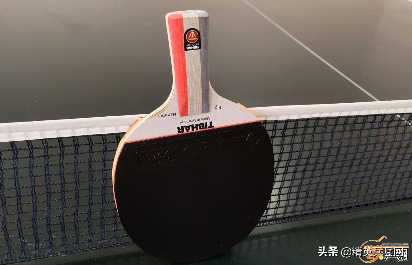 新纤维！新能量！萨姆索诺夫佛迪诺（Fortino）PRO终极甄选