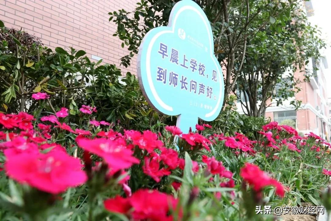 花都开好了现场完整版,花都开好了合唱合拍