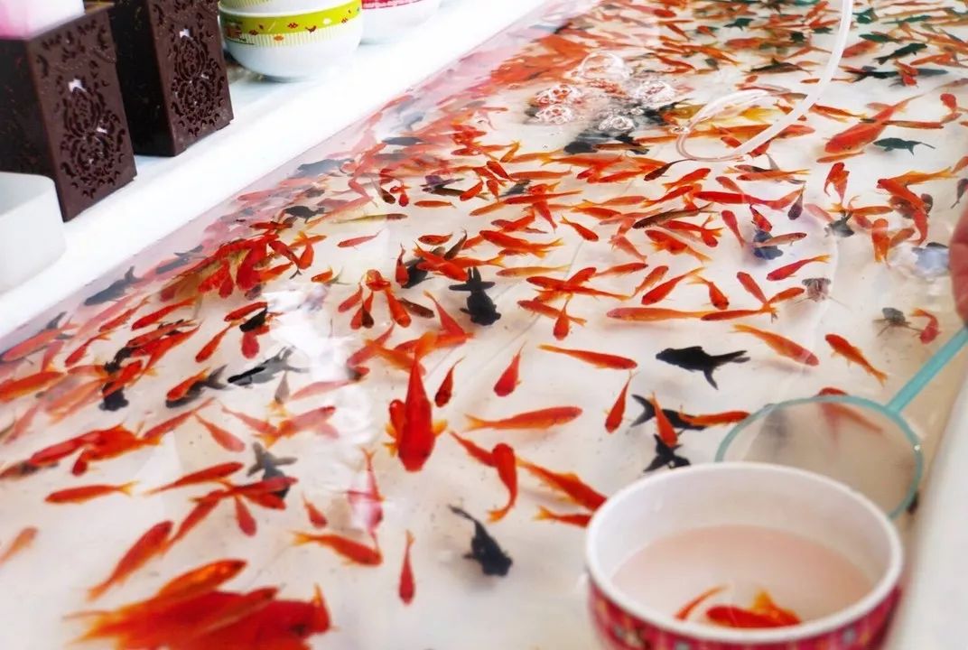 南昆山南国避暑天堂图片,藏在南昆山里的避暑胜地