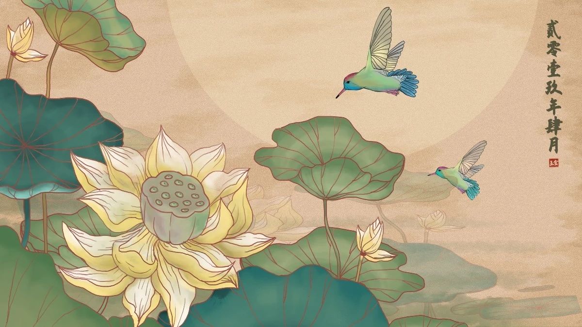 描写荷花的作文或诗句,关于写荷花的开头的优美句子