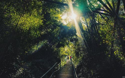 鍗楁槍璞珷鏁呴儭椋庢櫙,姹熻タ璞珷鏁呴儭鍗楁槍娲兘鏂板簻