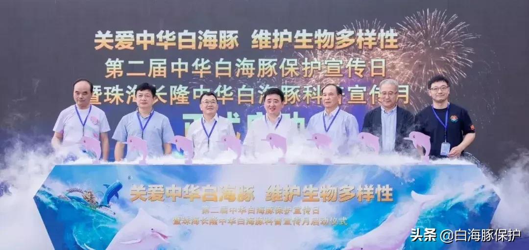 上海中华白海豚保护宣传日,中华白海豚宣传日