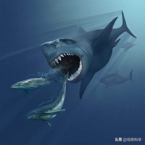 乌合麒麟给孟晚舟画的画图片,乌合麒麟孟晚舟作品解读