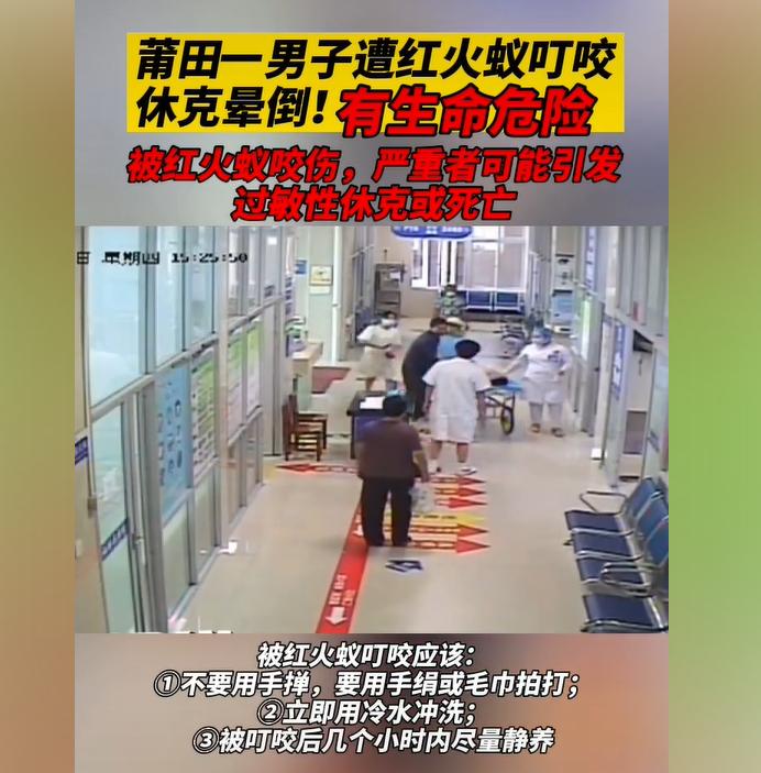 小孩被红火蚁咬后脓包怎么处理,孩子被红火蚁咬伤