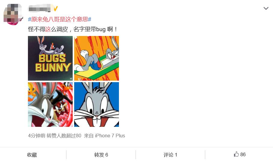 兔八哥是个什么梗,兔八哥讲海洋满满的冷知识