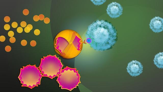 免疫细胞治疗癌症120万,免疫细胞治疗癌症最新进展