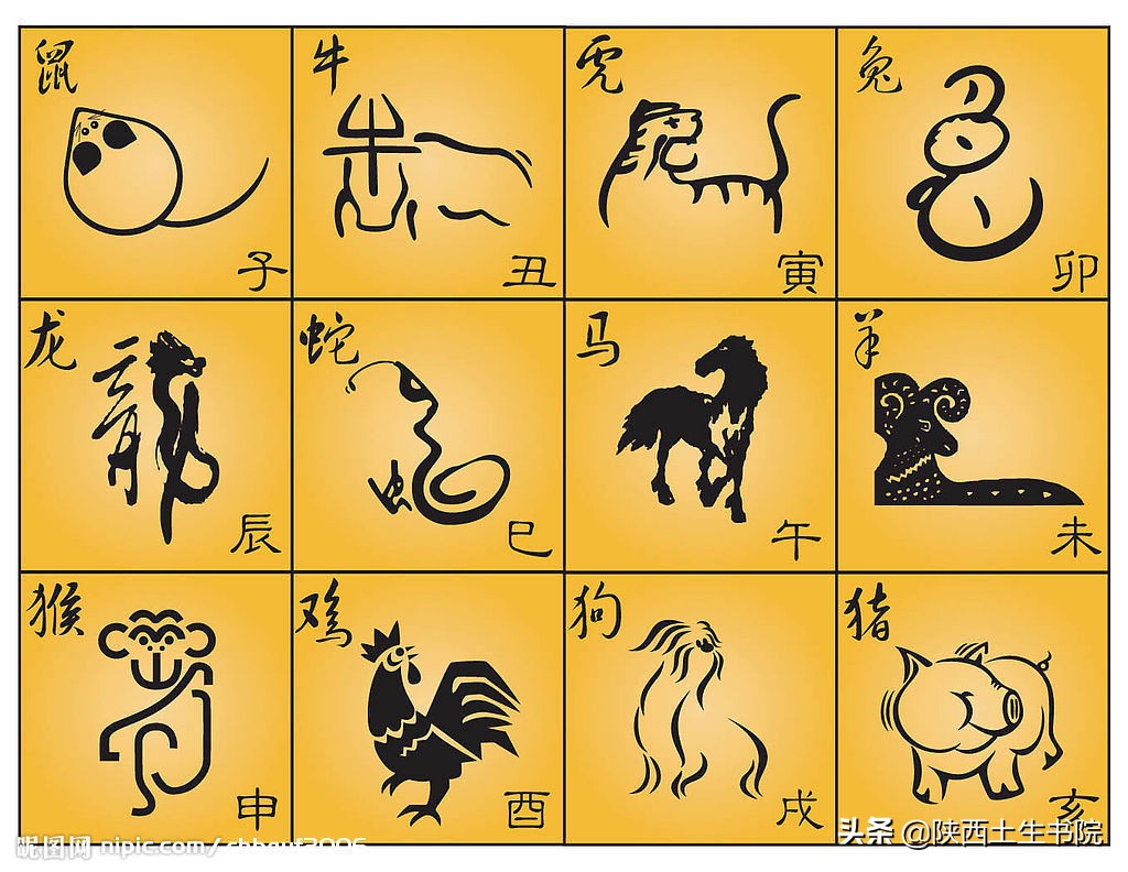 十二生肖划分标准日期,十二生肖金木水火土的日期