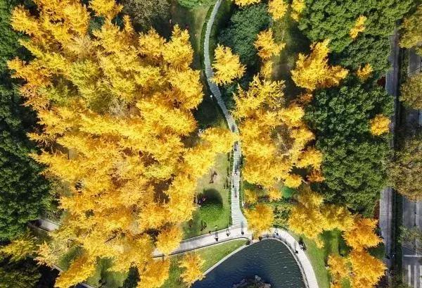 宁波地铁2号线附近游玩点,宁波地铁线旅游攻略