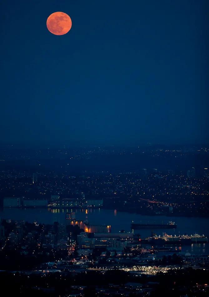 李白回忆小时候的月亮,李白从小喜欢月亮吗