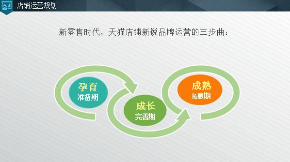 公司天猫入驻流程图模板,天猫入驻品牌介绍模板