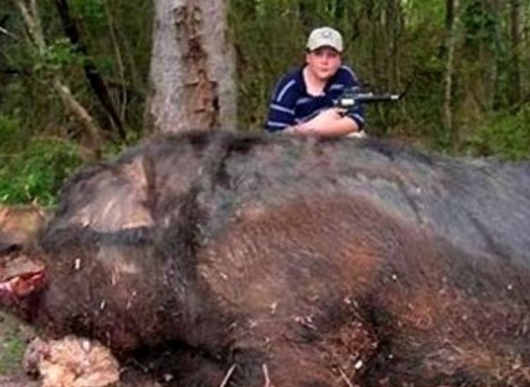 家猪养一年能养多大,猪一直不杀能养到多重