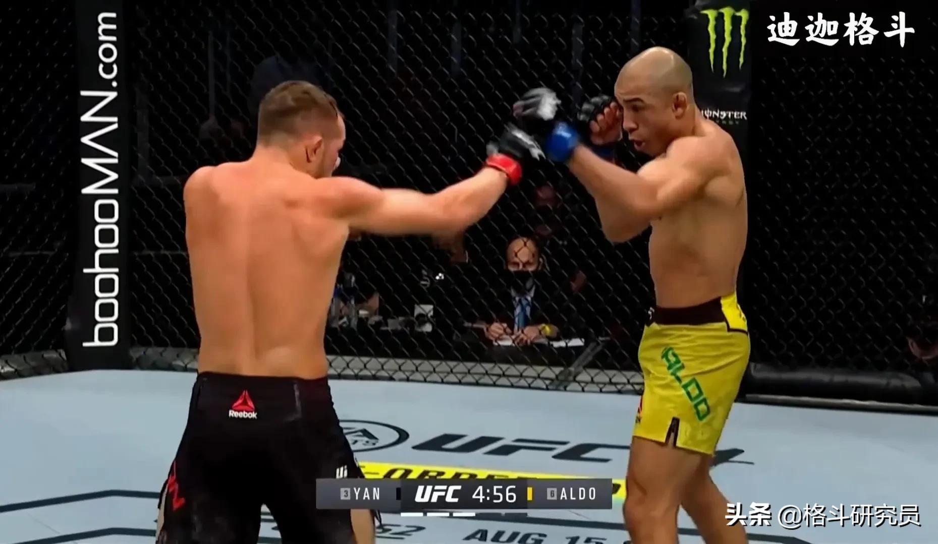 ufc比赛规则和标准,ufc比赛技术分析