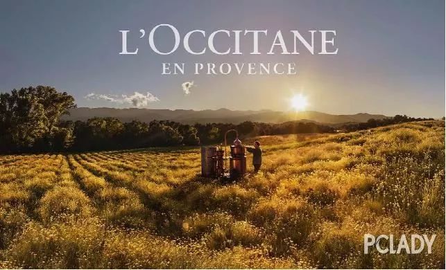 欧舒丹蜡菊赋颜精华眼霜怎么样,抗眼周细纹眼霜推荐