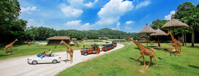 广州长隆1大1小亲子票大马戏,广州长隆珠海亲子游旅游攻略