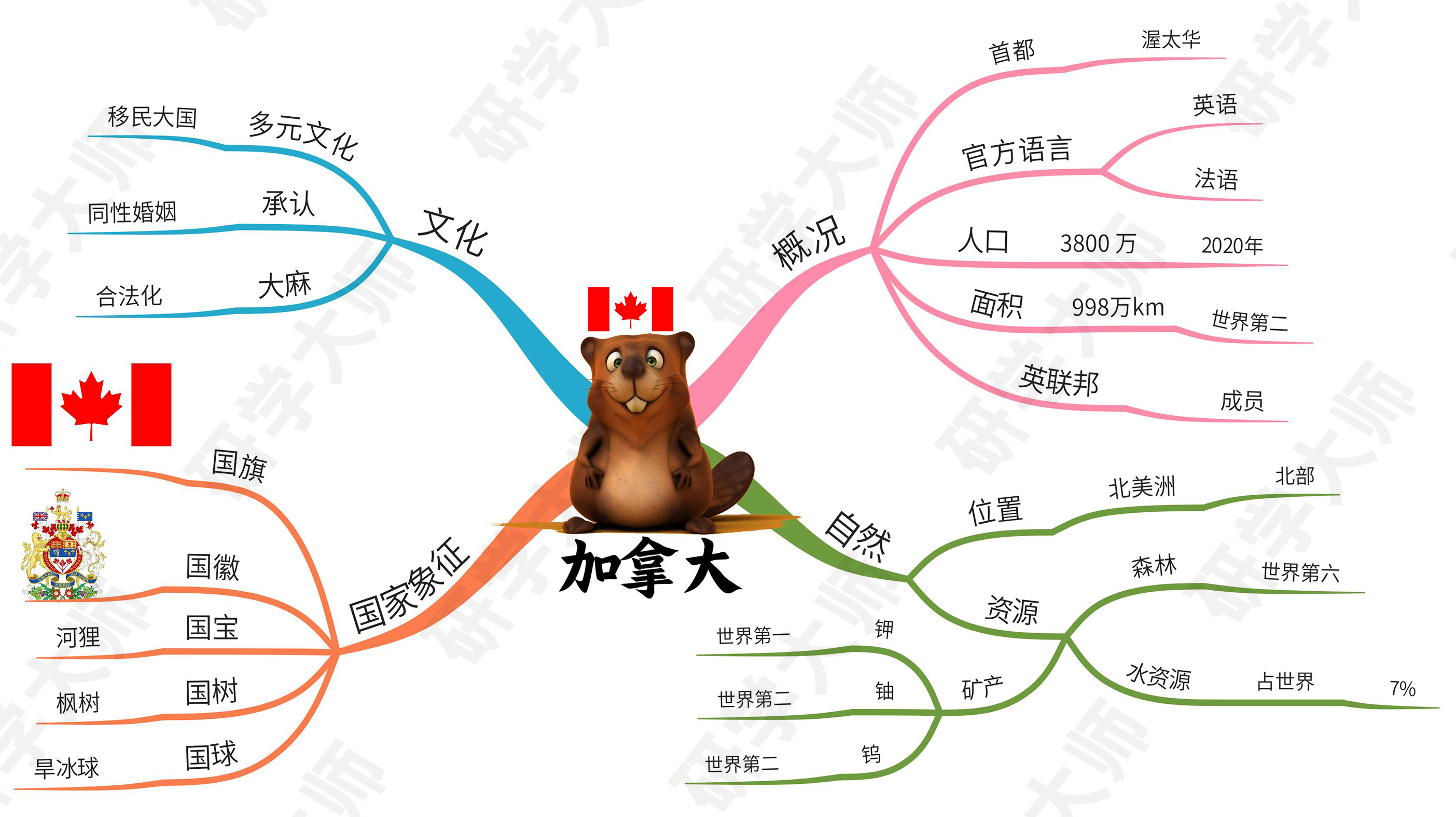 奥运会思维导图最最最简单的,北京冬奥会奥运项目思维导图