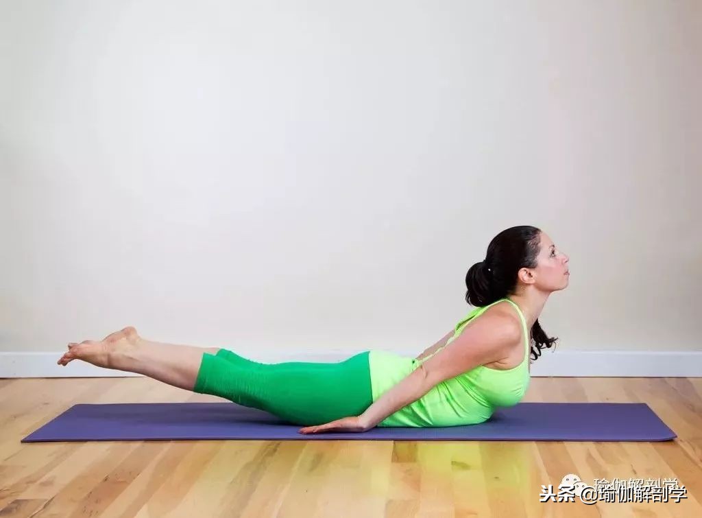 瑜伽拉伸动作30分钟初学者最简单,初学瑜伽拉伸的基本动作在家练习