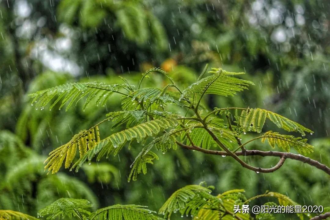常用常考成语大盘点,常用成语词语来理解专项训练