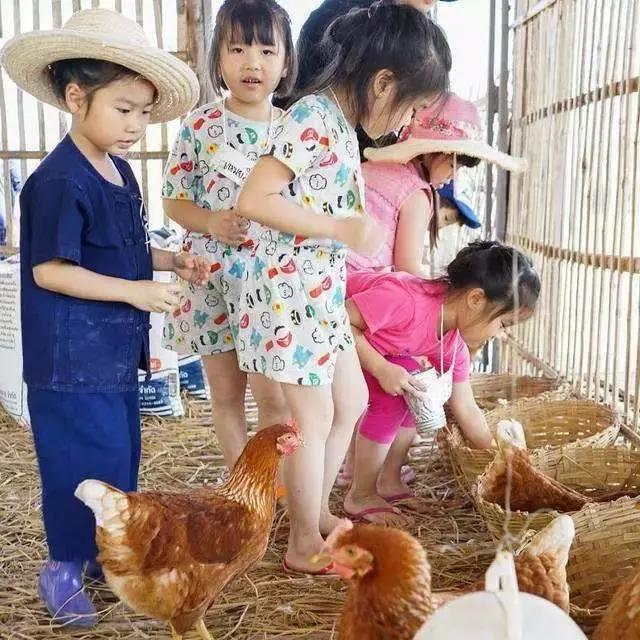 生态生物链家庭农场经营模式,农场盘活资产的最佳方法