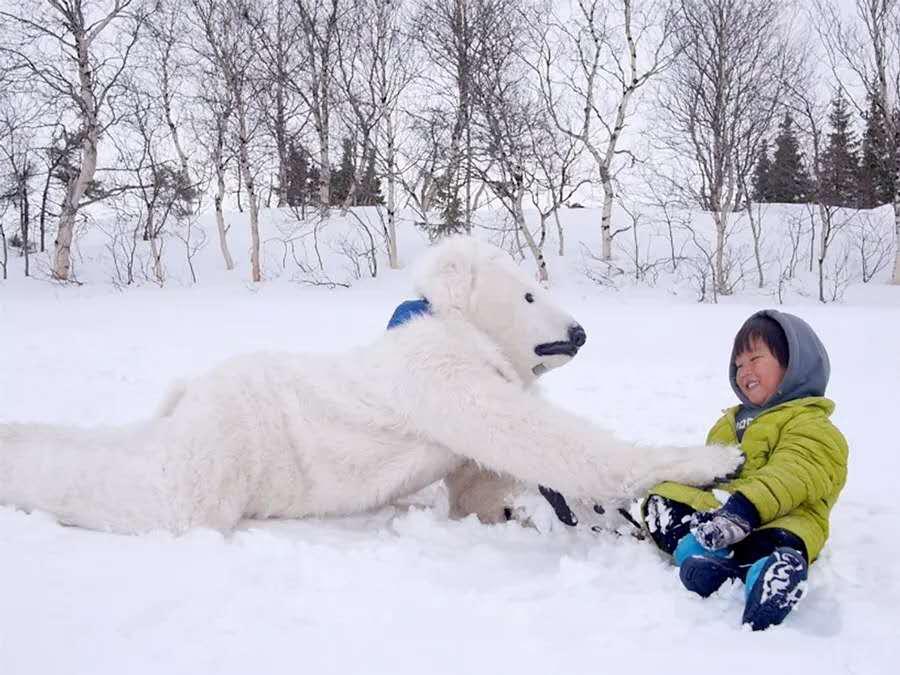他叫辛巴，不是狮子王，8岁穿越12国：最好的教育，永远在路上
