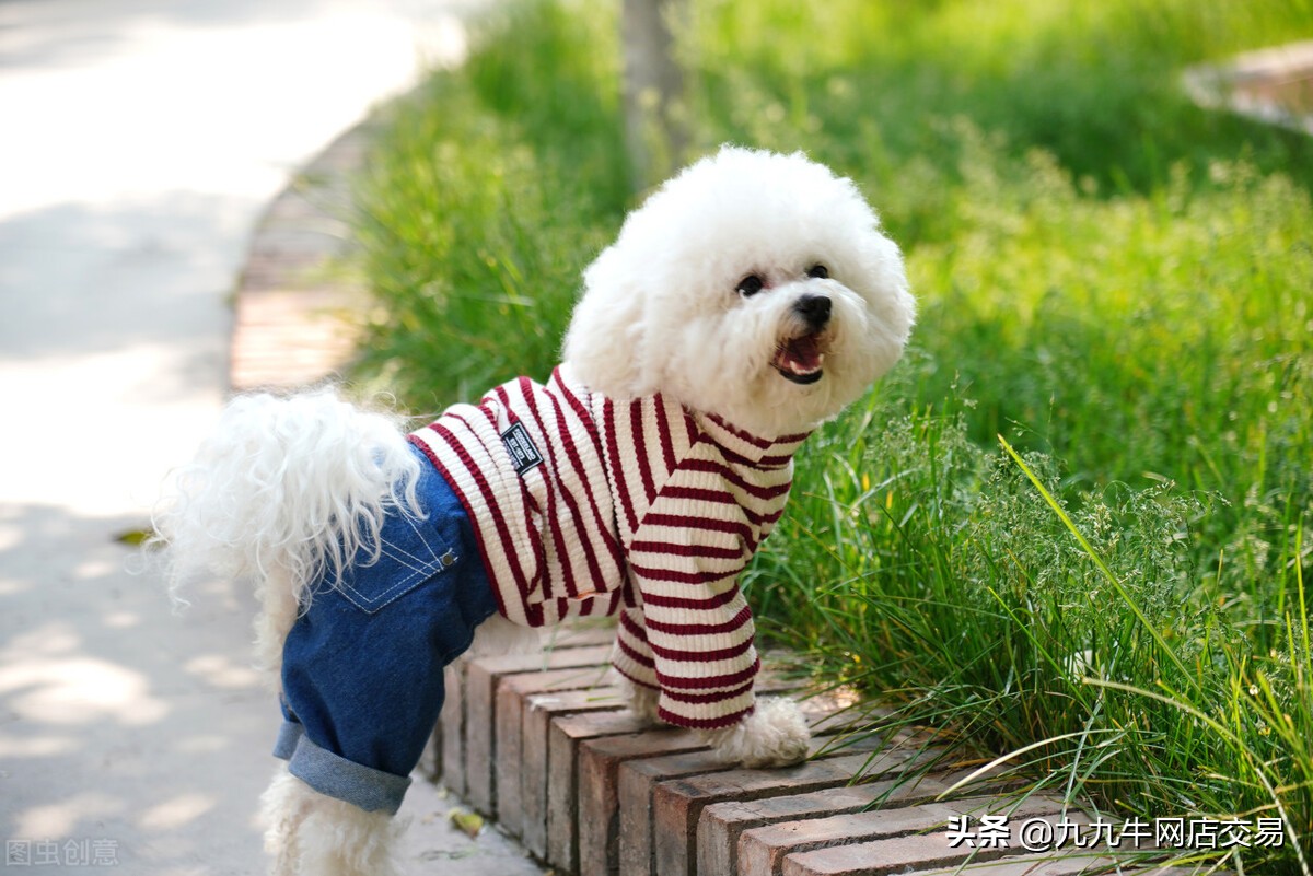 九九牛：天猫网店运营如何选品？