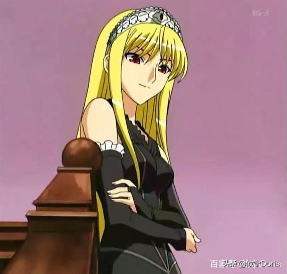 日漫中的王子公主,日漫中的骑士守护公主