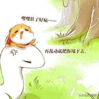 小仓鼠和大蛇的互宠日常,蛇先生与小仓鼠