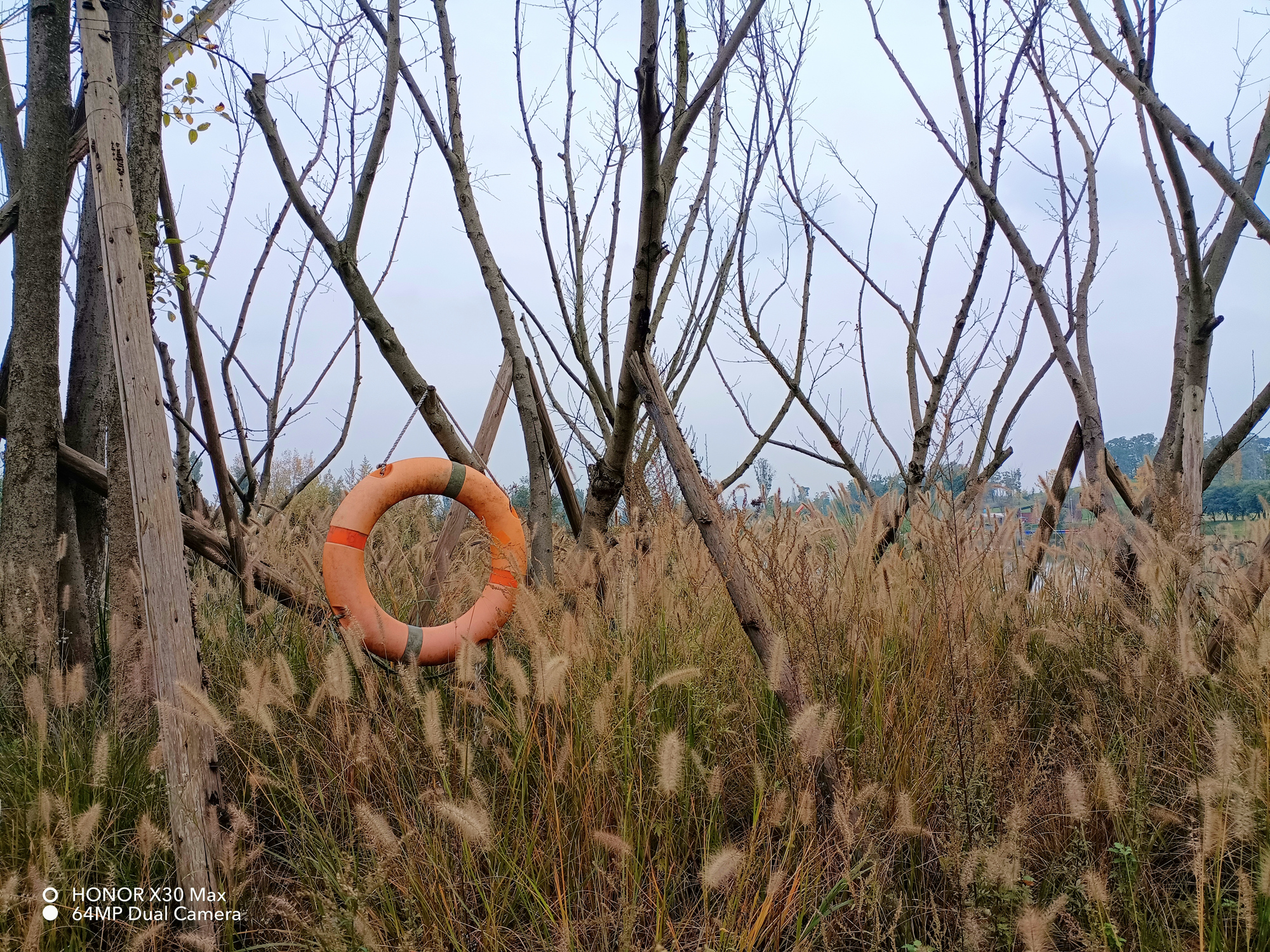 新款光荣x30max7.09寸大屏,大手机屏幕7英寸光荣x30max